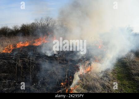 L'herbe sèche brûlante et les roseaux. Nettoyage des champs et des fossés des épaississements de l'herbe sèche Banque D'Images