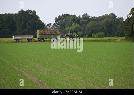 Récolte de foin dans le Schweinheimer Feld Banque D'Images