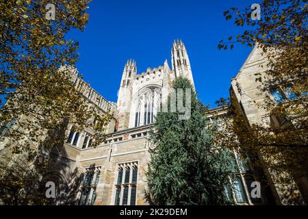 Yale Law School bâtiments à New Haven, CT Etats-Unis Banque D'Images