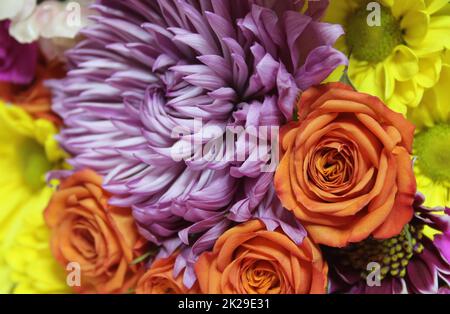 Gros plan du bouquet avec des chrysanthèmes et des roses miniatures Banque D'Images