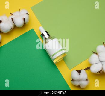 flacon en verre blanc avec une pipette et une étiquette blanche vide. Récipient pour cosmétiques, sérum et huile Banque D'Images