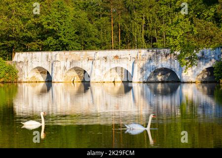 Ancien pont en pierre au-dessus de l'étang de Vitek, Nova Hlina près de Trebon, Jindrichuv Hradec, Bohême du Sud, République tchèque Banque D'Images