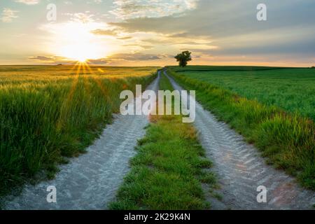 Le soleil se cache derrière les nuages et une route de terre à travers les terres agricoles Banque D'Images