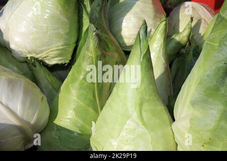 Chou blanc sur le marché agricole en Allemagne Banque D'Images