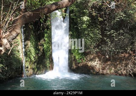 Cascade à la réserve naturelle de Banyas, en haute Galilée. Israël Banque D'Images