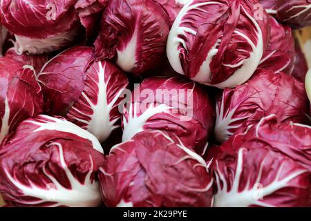 Laitue radicchio fraîche sur le marché agricole en Italie Banque D'Images