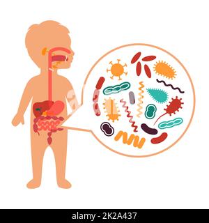 Illustration vectorielle médicale de maux d'estomac, problèmes de système digestif des enfants Banque D'Images