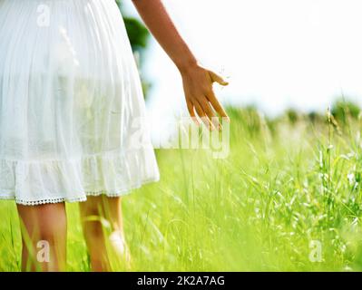 Nature touchante. Vue rognée d'une jeune femme marchant dans un champ vert. Banque D'Images