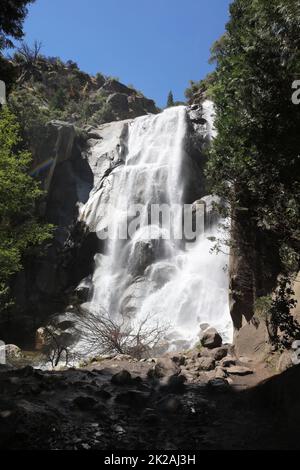 Chutes de grizzly dans la forêt nationale de Sequoia. Kings Canyon et parc national de Sequioa. Californie. ÉTATS-UNIS Banque D'Images