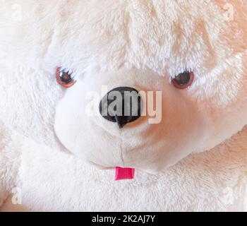 Gros plan d'un ours polaire en peluche, nez, yeux, bouche d'un jouet mignon Banque D'Images