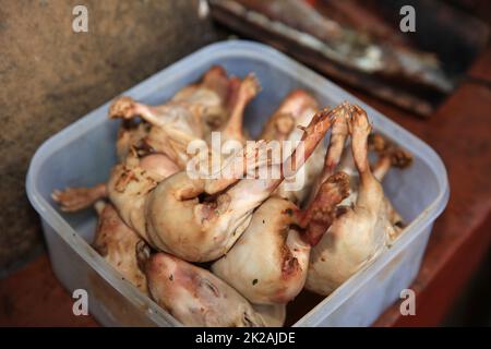 Cochon d'Inde rôti - repas traditionnel au Pérou. Amérique du Sud Banque D'Images