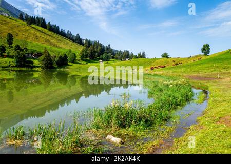 Lac des Confins et paysage de montagne à la Clusaz, France Banque D'Images