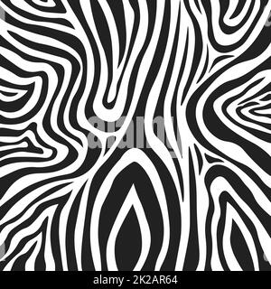 Texture en fourrure de zébrée noir et blanc ondulée - Vector Banque D'Images