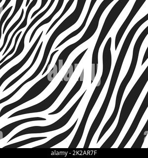 Texture en fourrure de zébrée noir et blanc ondulée - Vector Banque D'Images