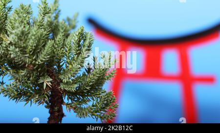 L'arbre Bonsai et la porte de Torii ferment les DOF peu profondes Banque D'Images