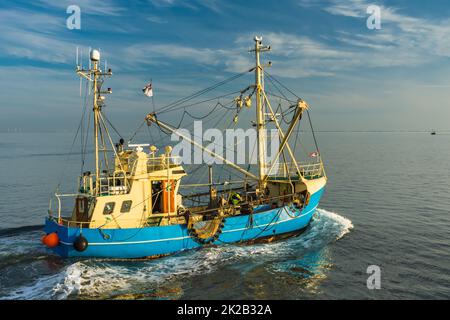 Bateau de pêche sur la mer du Nord Banque D'Images