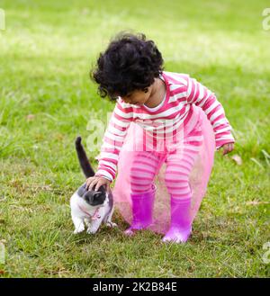 Elle se sent tellement douce. Adorable petite fille sur la pelouse à l'extérieur de la course d'un joli chaton. Banque D'Images