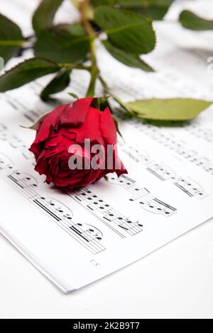 Une musique magnifique. Photo rognée d'une rose rouge au-dessus de la musique de fond. Banque D'Images