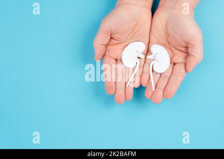 Mains tenant un rein, feuille coupée, journée mondiale des reins, problèmes de santé, transplantation d'organes, problème médical Banque D'Images