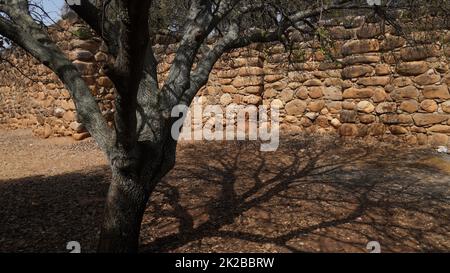 Ancien mur en pierre. Un vieux mur avec une belle maçonnerie dans le parc national de tel Dan en Israël Banque D'Images