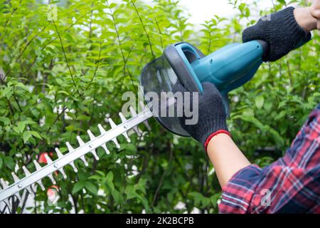 Jardinier tenant un taille-haie électrique pour couper la cime dans le jardin. Banque D'Images