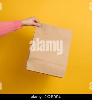 femme tenant à la main marron blanc sac de papier d'artisanat pour emporter sur fond jaune.Maquette de modèle d'emballage.Concept de service de livraison Banque D'Images