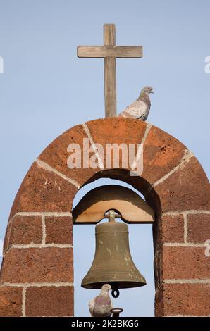 Pigeons domestiques sur l'église de Nuestra Senora del Carmen. Banque D'Images