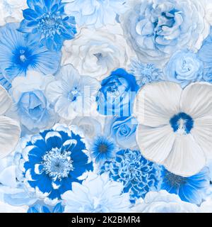 Fond transparent de fleurs bleues Banque D'Images