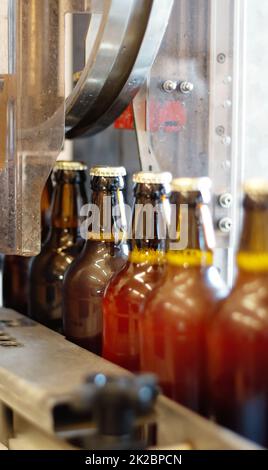 Un nouveau café délicieux. Prise de bouteilles de bière sur une chaîne de production dans une brasserie. Banque D'Images