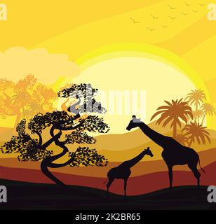 Affiche carte Savannah africaine de dessin animé - girafes au coucher du soleil Banque D'Images