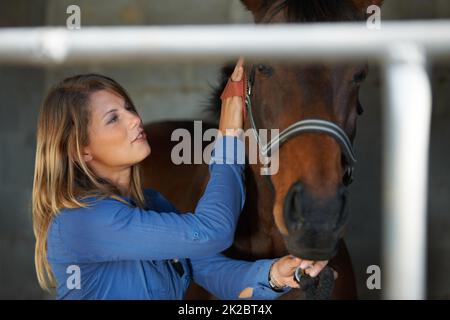 Elle prend bien soin de son cheval. Une jeune femme se brossant son cheval dans l'écurie. Banque D'Images
