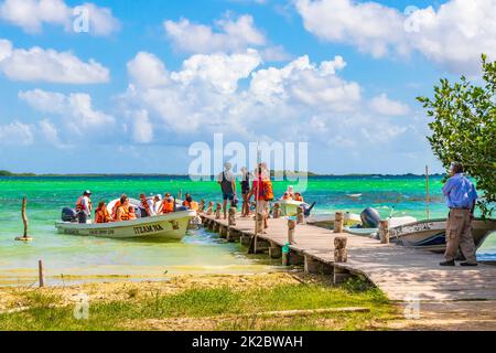 Muyil Lagoon vue panoramique en bateau dans la jungle tropicale du Mexique. Banque D'Images