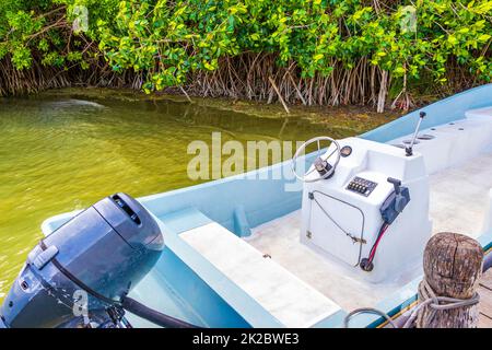 Muyil Lagoon vue panoramique en bateau dans la jungle tropicale du Mexique. Banque D'Images