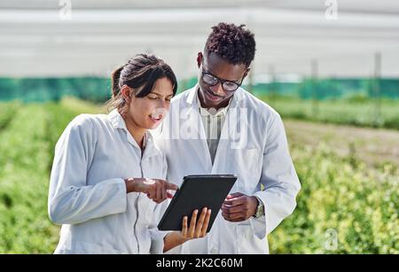 Regardez ce que j'ai découvert plus tôt. Photo de deux jeunes scientifiques utilisant une tablette numérique en wile étudiant les cultures et les plantes à l'extérieur sur une ferme. Banque D'Images