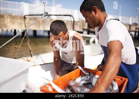 Son dur travail pour être un pêcheur. Coupe de deux pêcheurs sur leur bateau avec le poisson qu'ils ont pêché. Banque D'Images