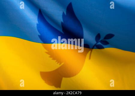 Colombe dans les couleurs du drapeau ukrainien, guerre avec la Russie, paix pour l'Ukraine Banque D'Images