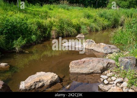 Ruisseau boisé idyllique avec des berges verdoyantes en herbe Banque D'Images