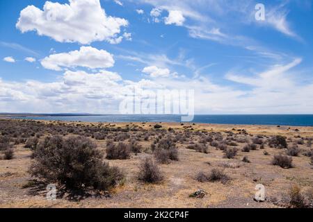 Vue sur la plage de Punta Tombo, Patagonie, Argentine Banque D'Images