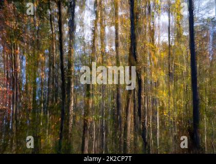 Résumé impressioniste forêt nature fond et ciel bleu Banque D'Images