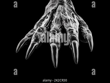 Main de monstre créepy isolée sur fond noir avec chemin de coupure Banque D'Images