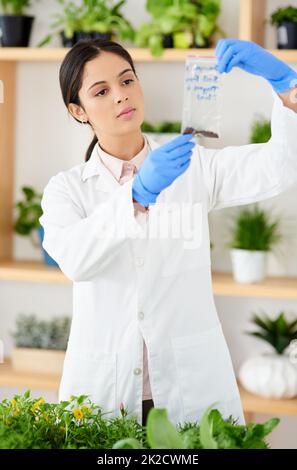 Envoyez-les à des fins de test. Photo d'un jeune scientifique travaillant avec des échantillons de plantes dans un laboratoire. Banque D'Images