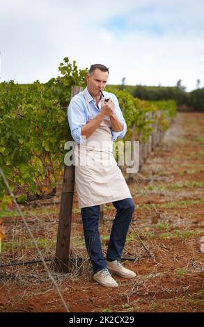 Faire une pause. Une cave à vin mature qui fait une pause et qui fume un tuyau dans le vignoble. Banque D'Images