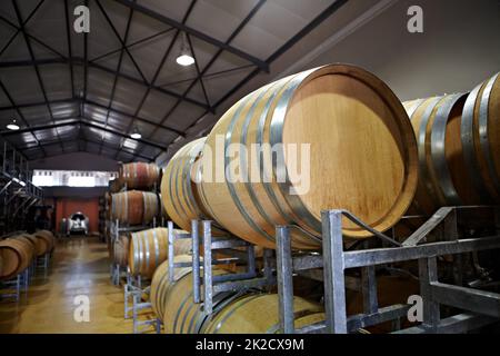 Le plancher de l'usine. Fûts de vin à l'intérieur d'une usine. Banque D'Images