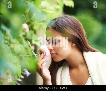 Arrêtez toujours de sentir les roses. Photo courte d'une magnifique jeune femme qui sent une rose. Banque D'Images