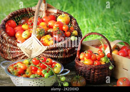 Les tomates Heirloom variété dans les paniers sur la table rustique. Tomate de couleur - rouge, jaune, orange. Conception de cuisine Légumes Récolte Banque D'Images