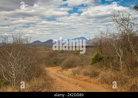 Paysage dans le parc national de l'Ouest de Tsavo avec une vue lointaine sur les coulées de lave de Shetani. Banque D'Images