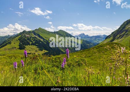 Paysage alpin typique au début de l'été près de Damuls, Vorarlberg, Autriche Banque D'Images