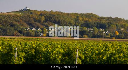 Gombos-hegyi pincesor à Hercegkut, site de l'UNESCO, Grande Plaine, Hongrie du Nord Banque D'Images