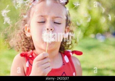 J'aurais bien aimé... l'été serait un peu plus long. Photo d'une adorable petite fille qui soufflait d'une pissenlit tout en étant assise dans le parc. Banque D'Images