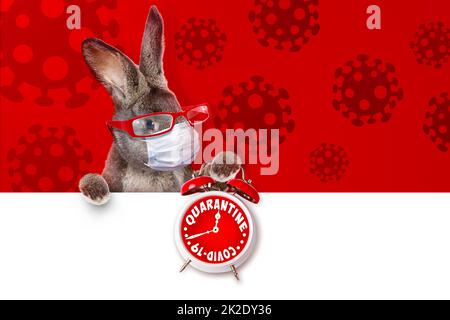 Lapin de Pâques avec masque médical au moment de l'épidémie Banque D'Images